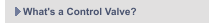 What's a Control Valve?